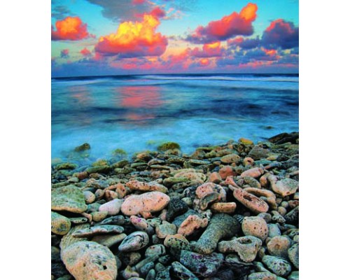 Desk Calendar DC 8